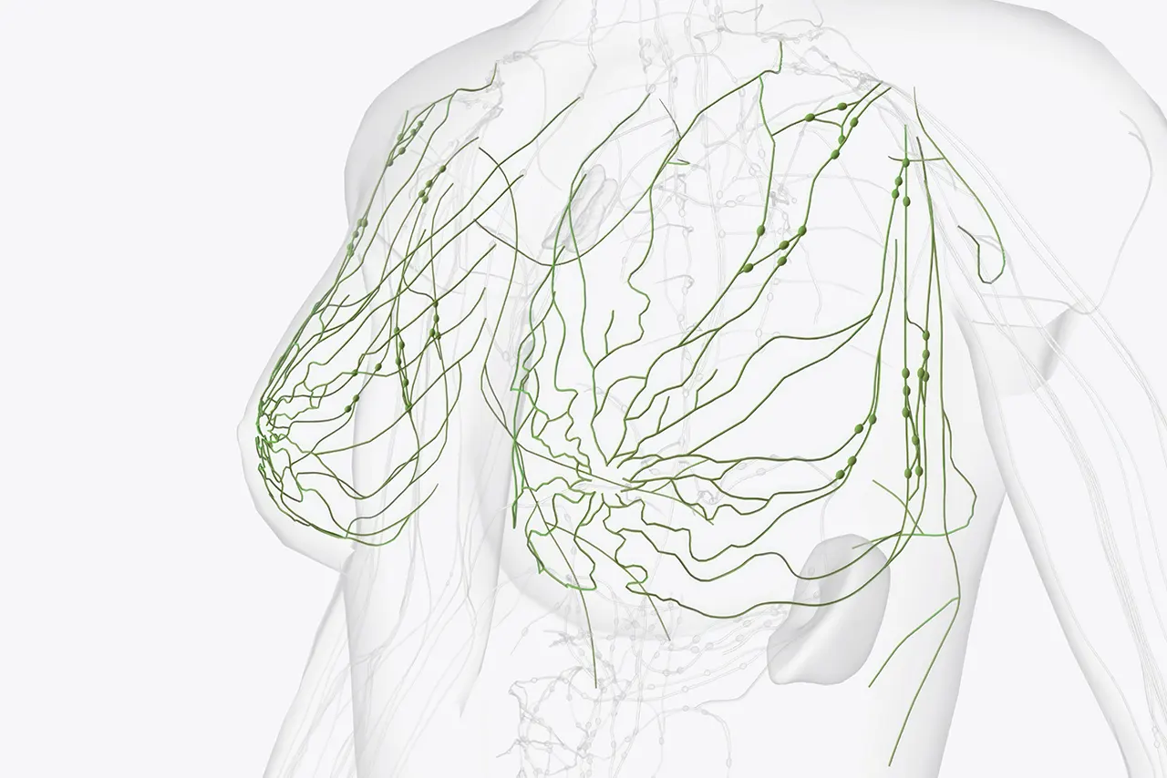 Visible veins on the breast and chest