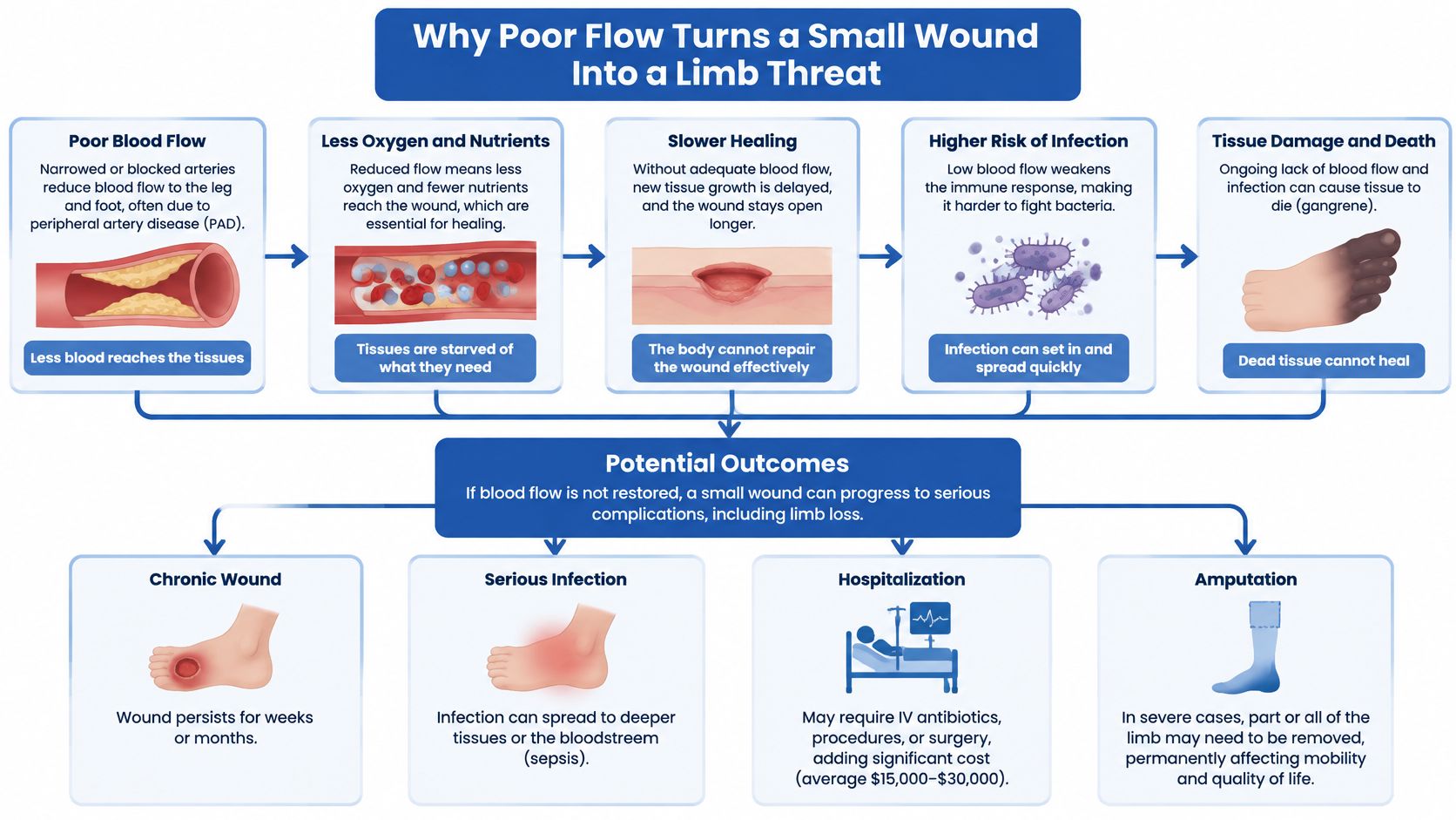 A flowchart explaining how poor blood circulation can cause small wounds to progress to serious limb-threatening complications.